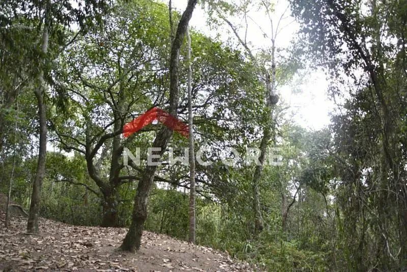 Sítio em Estrada Professor Brigido Tinoco - Vila Progresso - Niterói/RJ - Foto 2