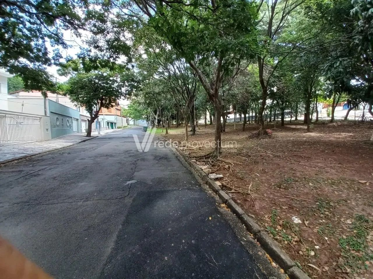 casa - Jardim Proença - Campinas - Foto 3
