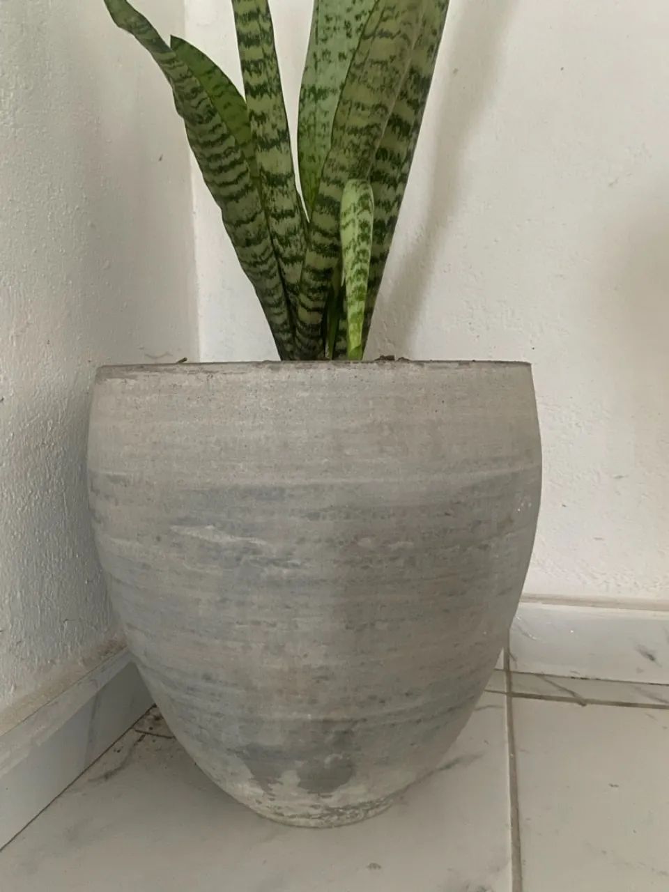 Vaso de cimento  - Foto 3