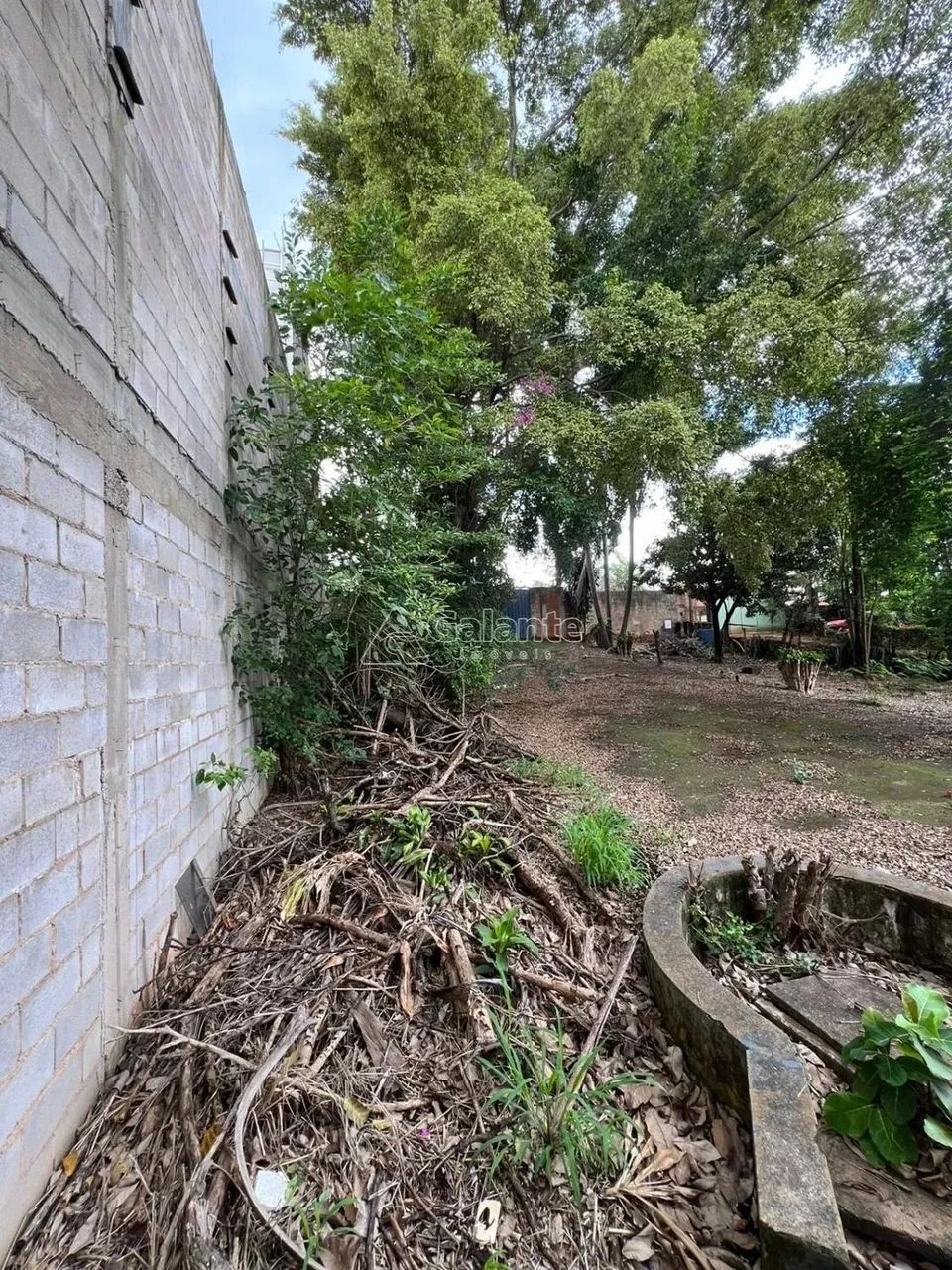 terreno - Chácara Boa Vista - Campinas - Foto 10