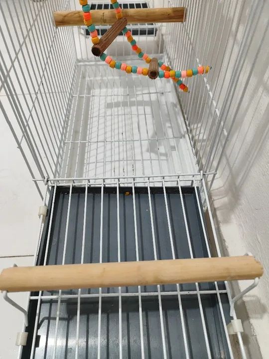 Gaiola para calopsita  - Foto 4