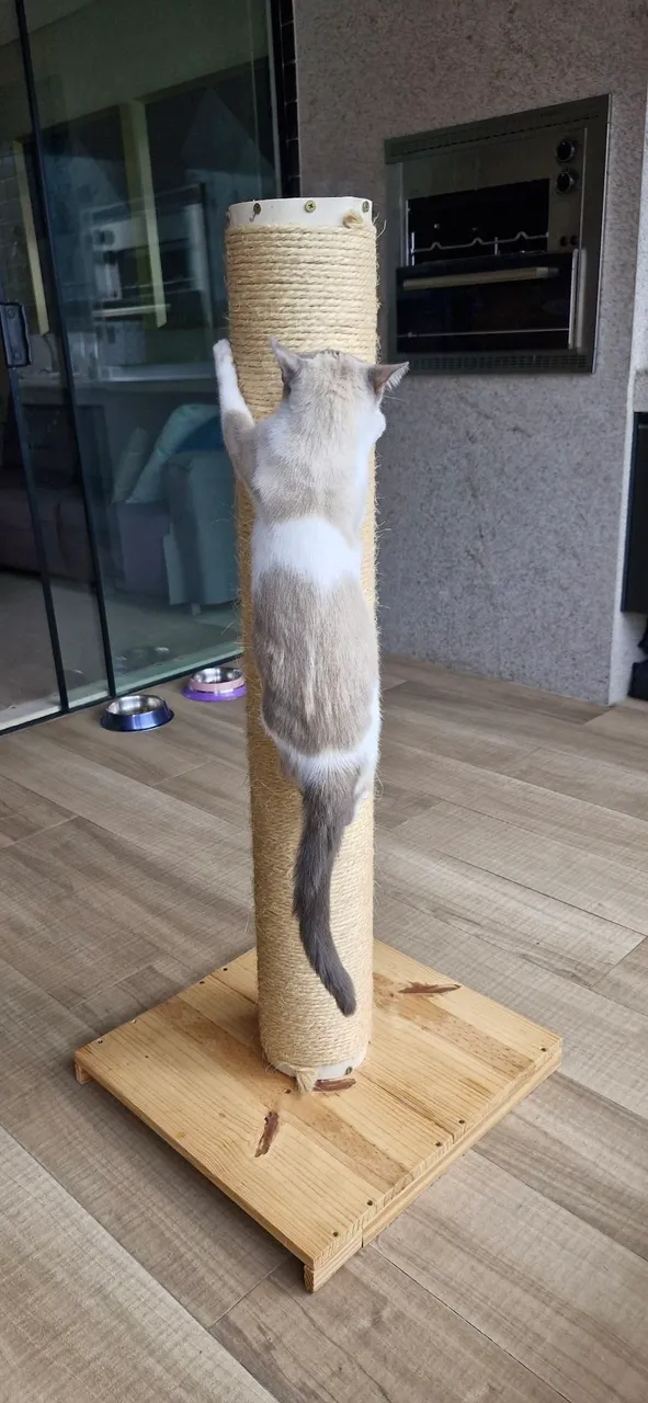 Arranhador para Gatos - Diversão e Conforto Garantidos!