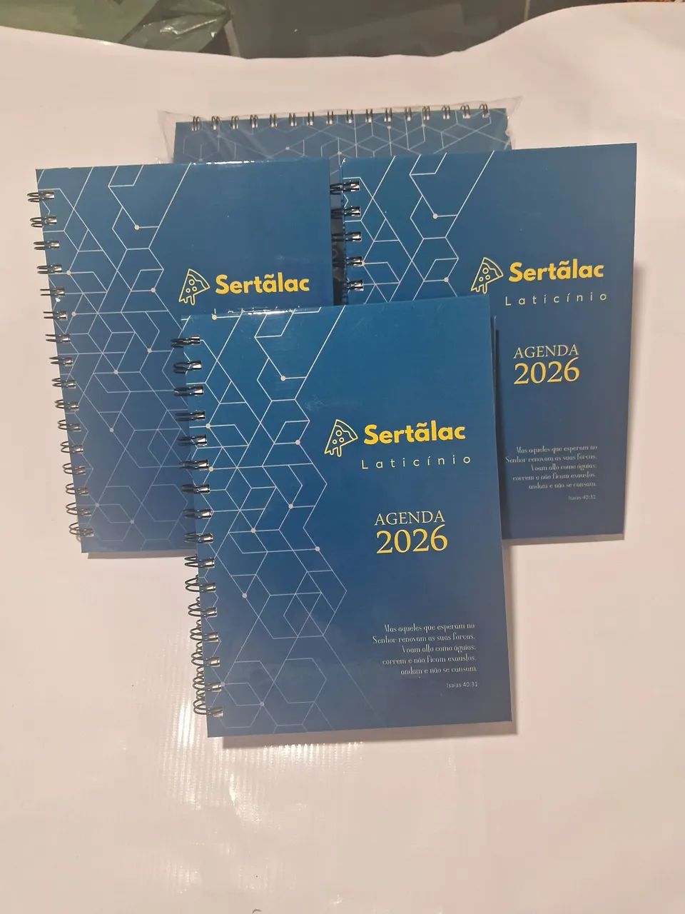 Agenda 202664628978596995121