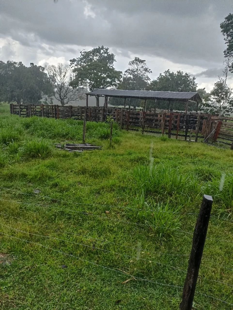 VENDO FAZENDA - Foto 2