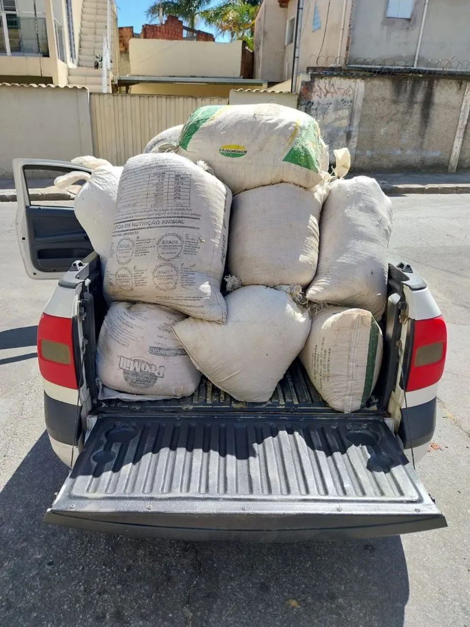 Madeira e serragem - Foto 6