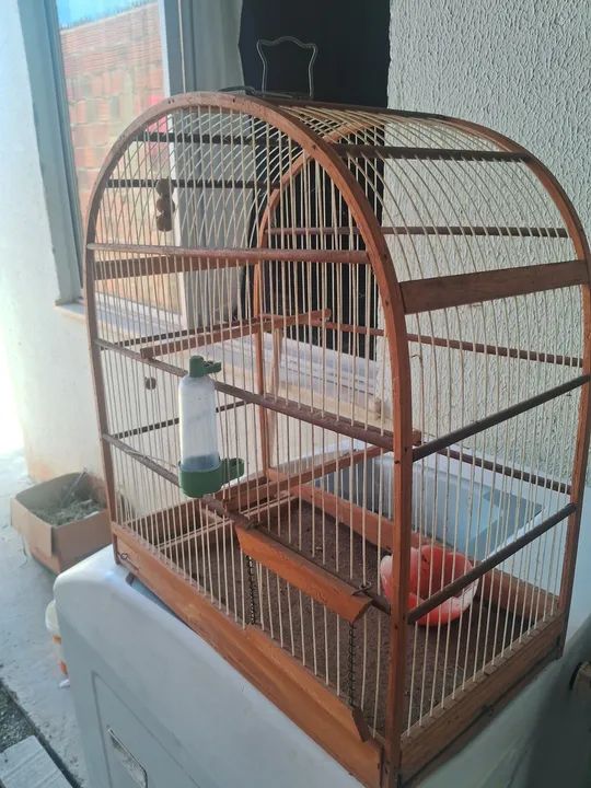 Gaiola para passaro, aceito oferta - Foto 3