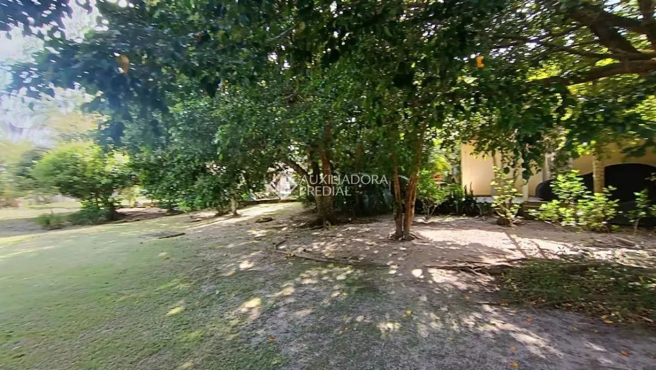 Oportunidade: Sítio de 25.000 m², Plano e com Frente para a Geral - Foto 4