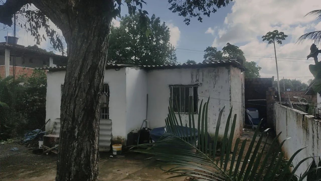 Foto - Olinda - Peixinhos