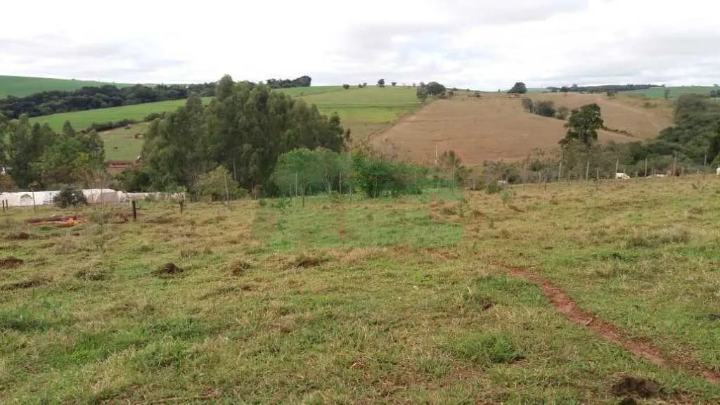 Venda de Rural / Chácara na cidade de Coronel Macedo