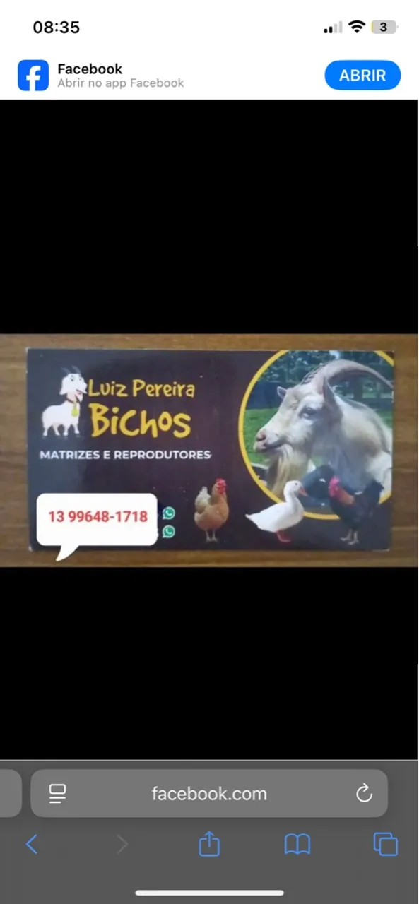 Bichos - Matrizes e Reprodutores
