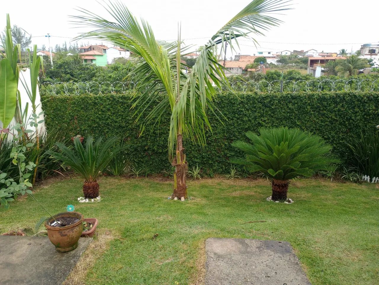 LINDA CASA DE 2 QTS NO JARDIM ATLÂNTICO LESTE - Foto 4