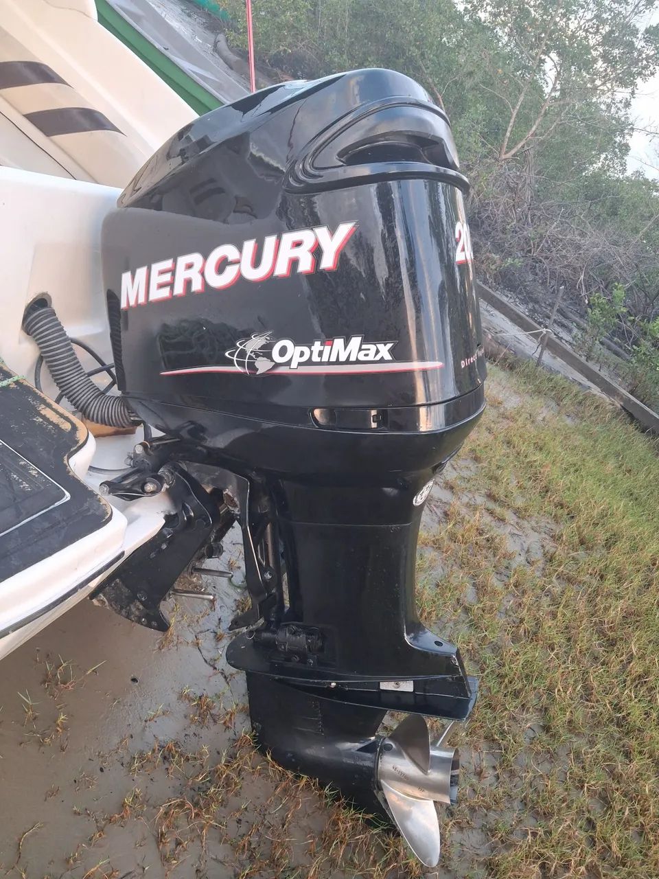Motor mercury optimax 200hp