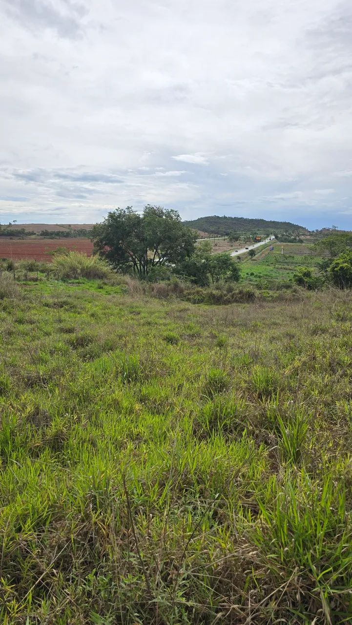 Chácara às Margens da BR 060 - Foto 3