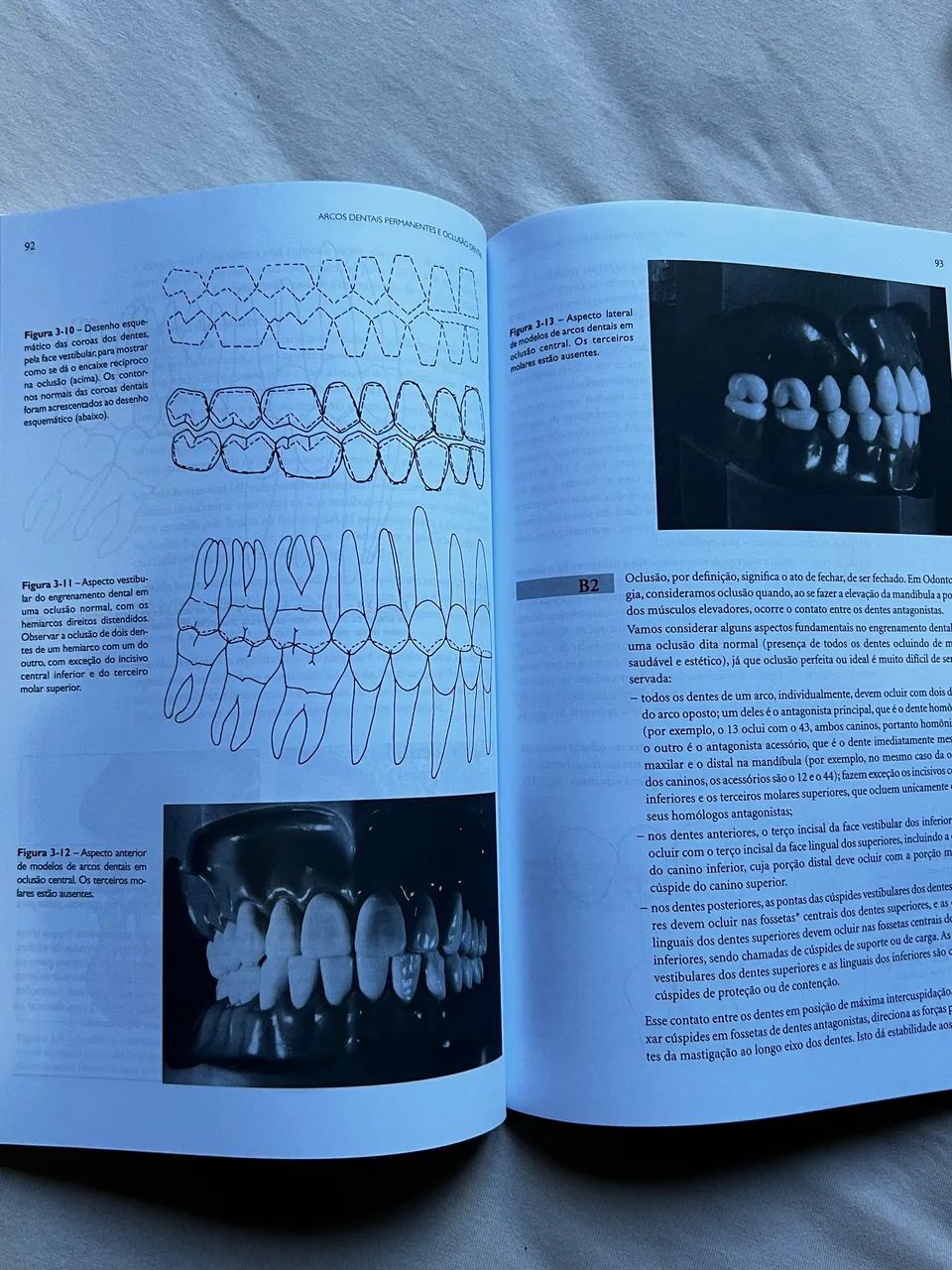 Livro Anatomia do Dente - Foto 4