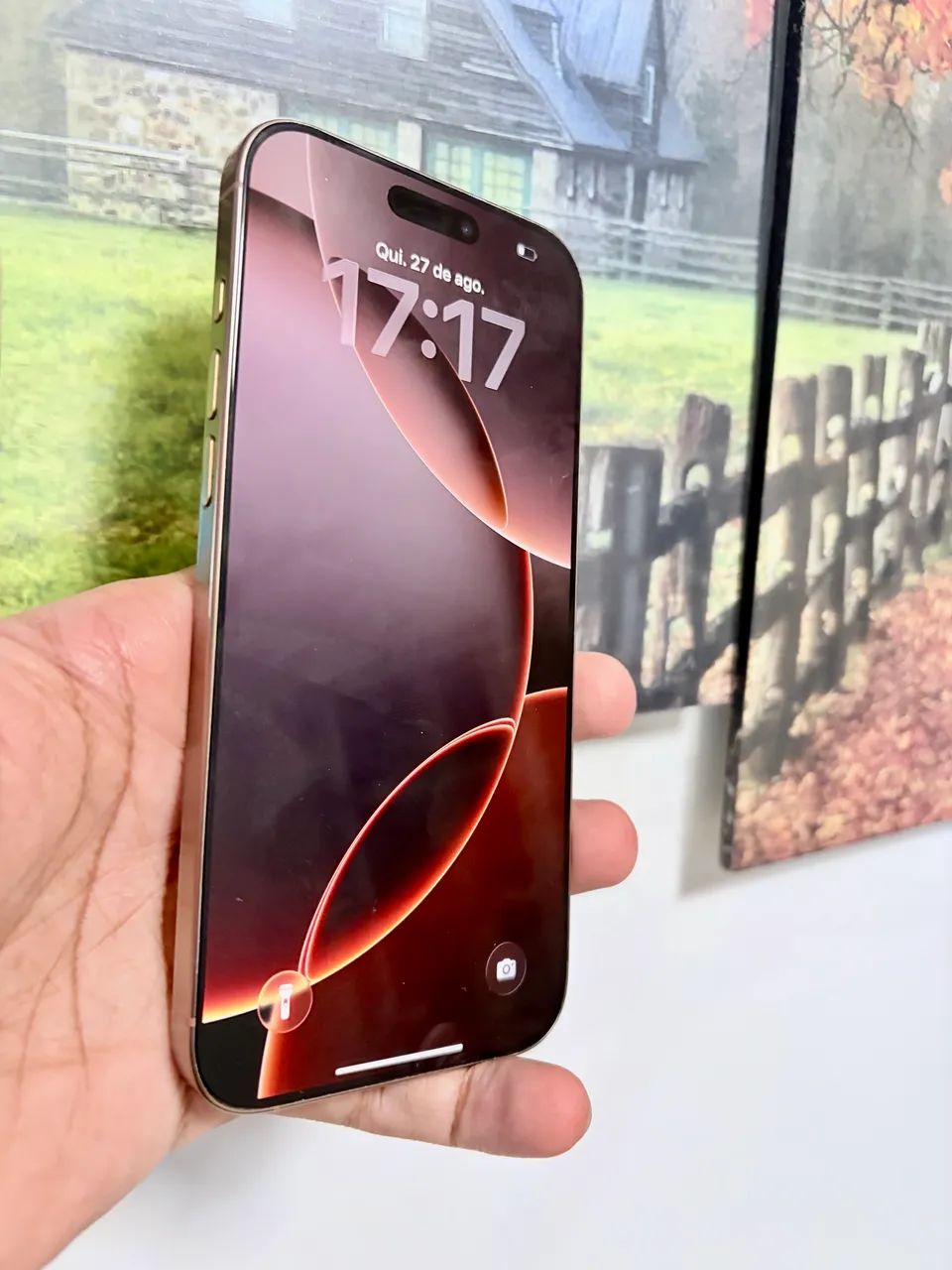 iPhone 16 Pro Max 256 gb (Uberaba)