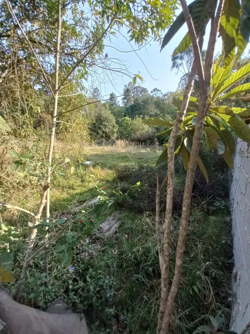 Condomínio Morada do Sol pronto para construir - Foto 4