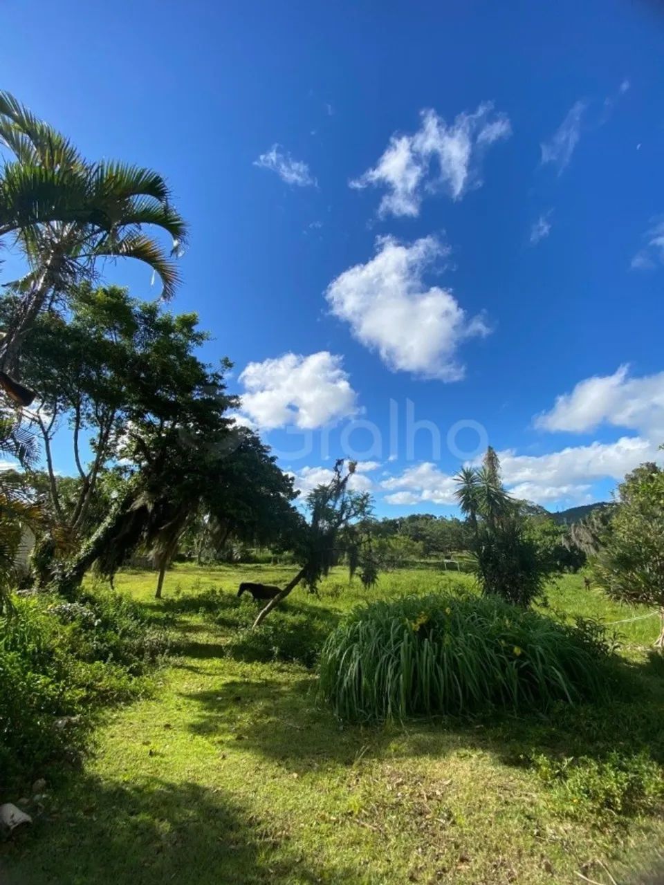 Terreno para Venda em Florianópolis, Ratones - Foto 5