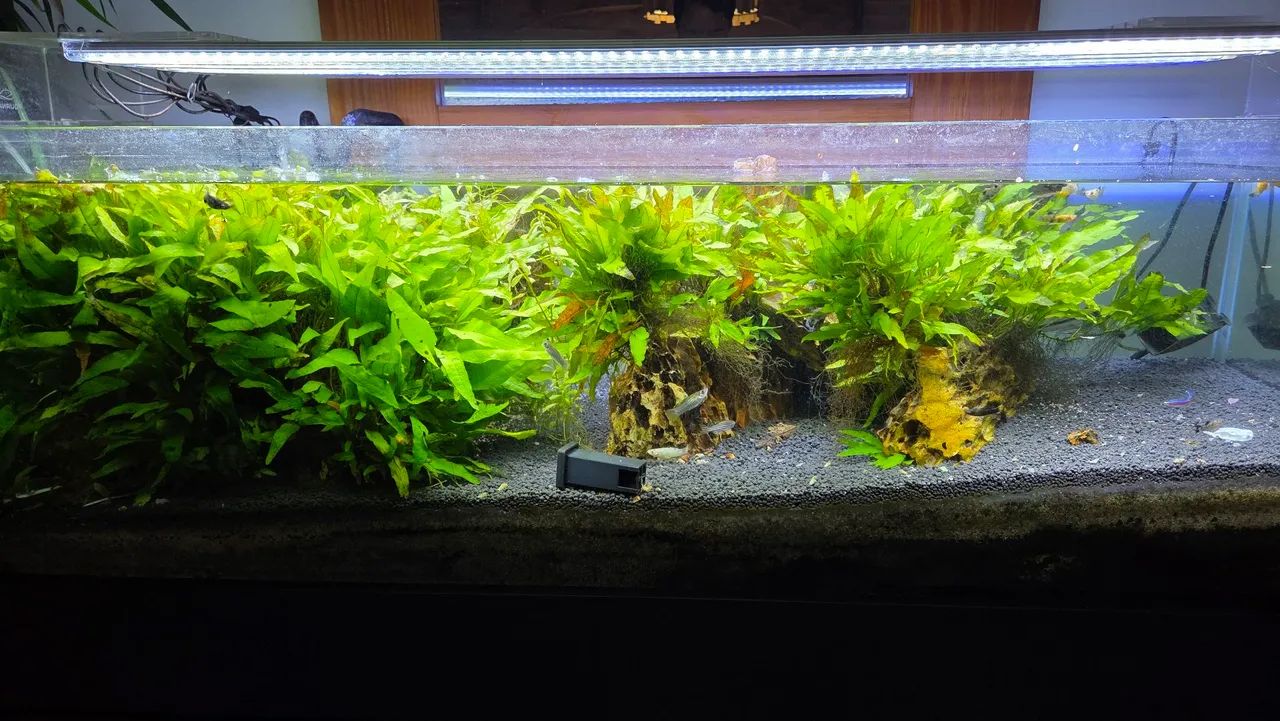 Aquario completo de 215L - Foto 2