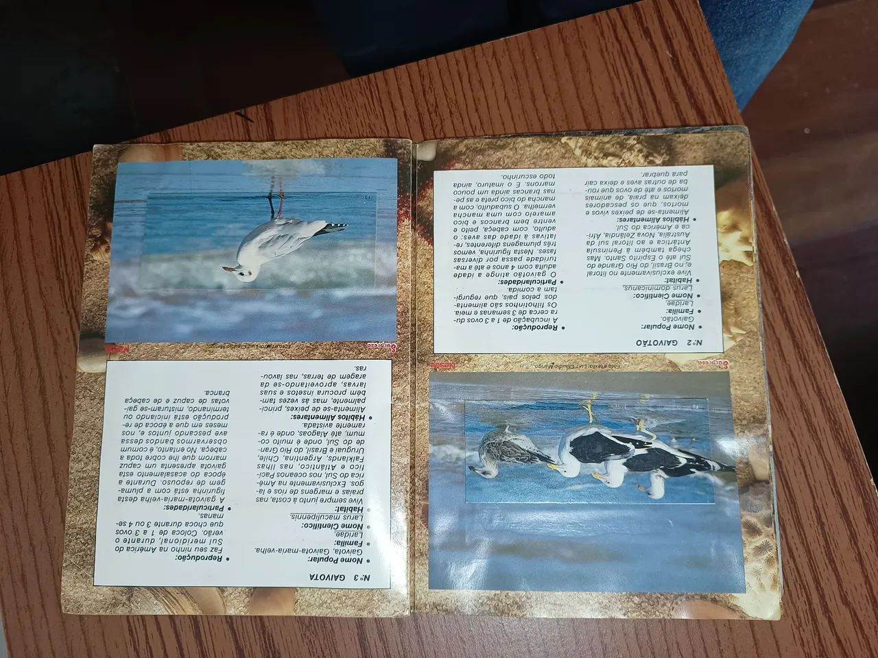Kit 3 Álbuns Surpresa  - Foto 5