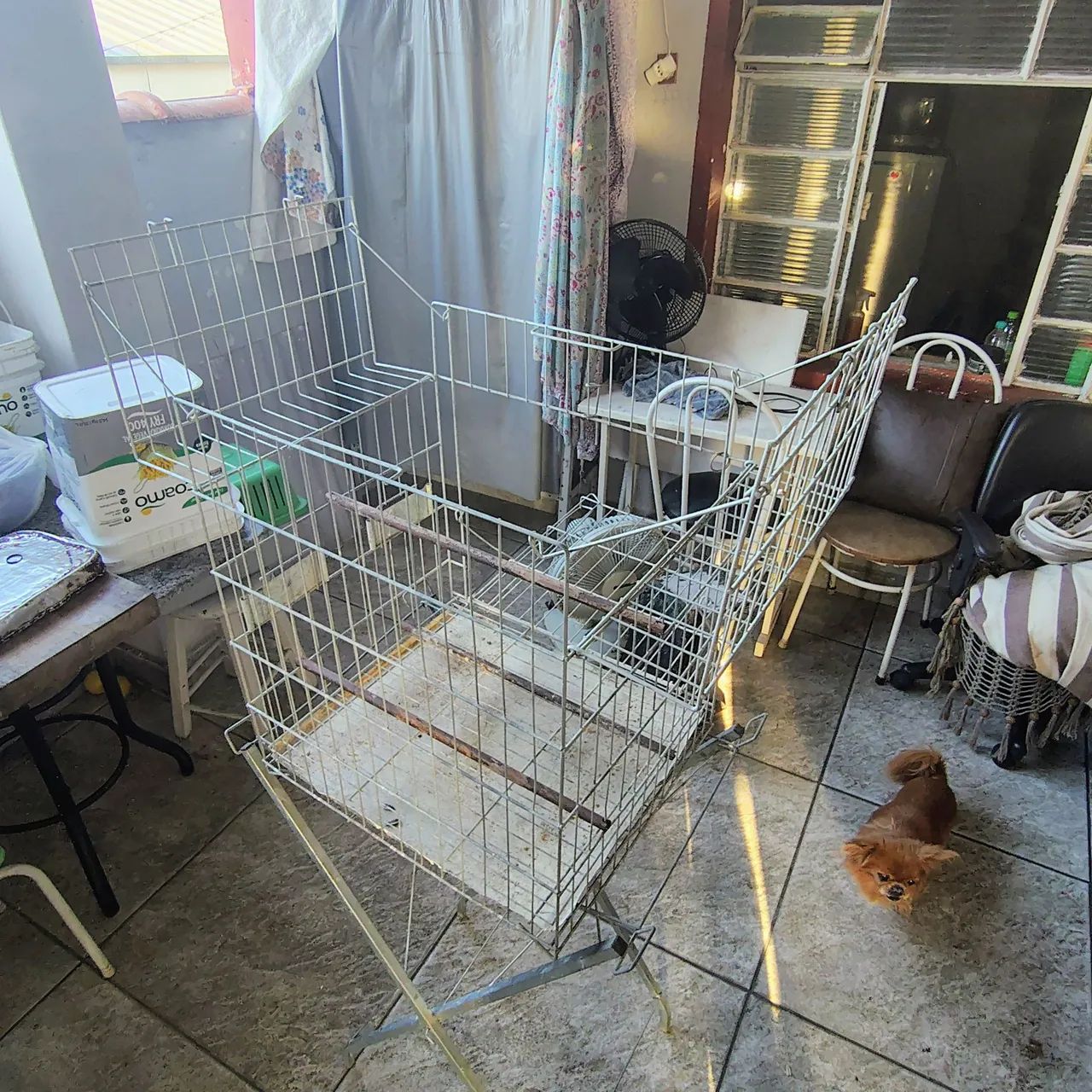 Gaiola para pássaro  - Foto 4