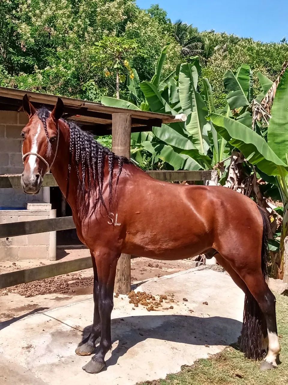 Vendo - Foto 4