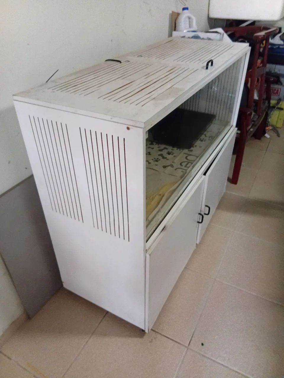 Terrario répteis  - Foto 2