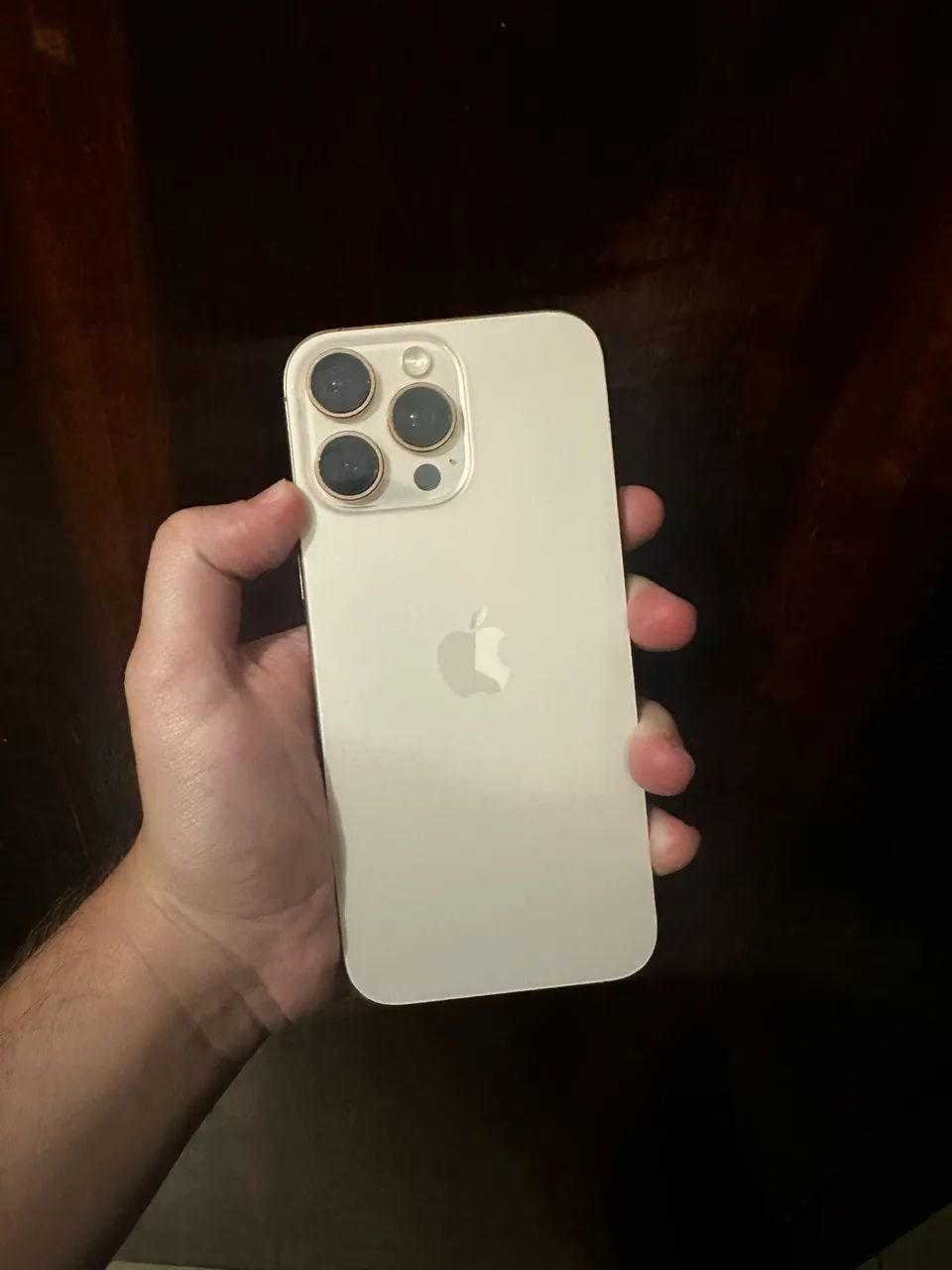 IPHONE 16 PRO MAX 256 GB