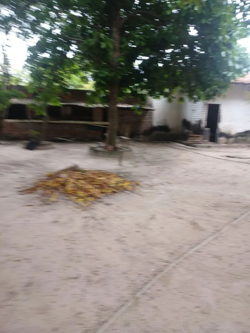 VENDA! - Foto 5