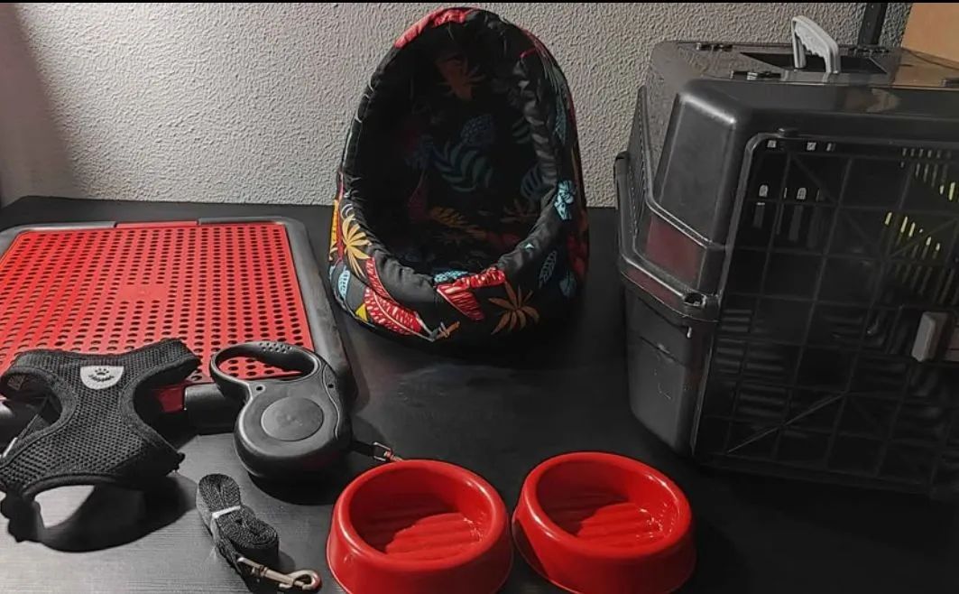 Kit para cachorro - Foto 2