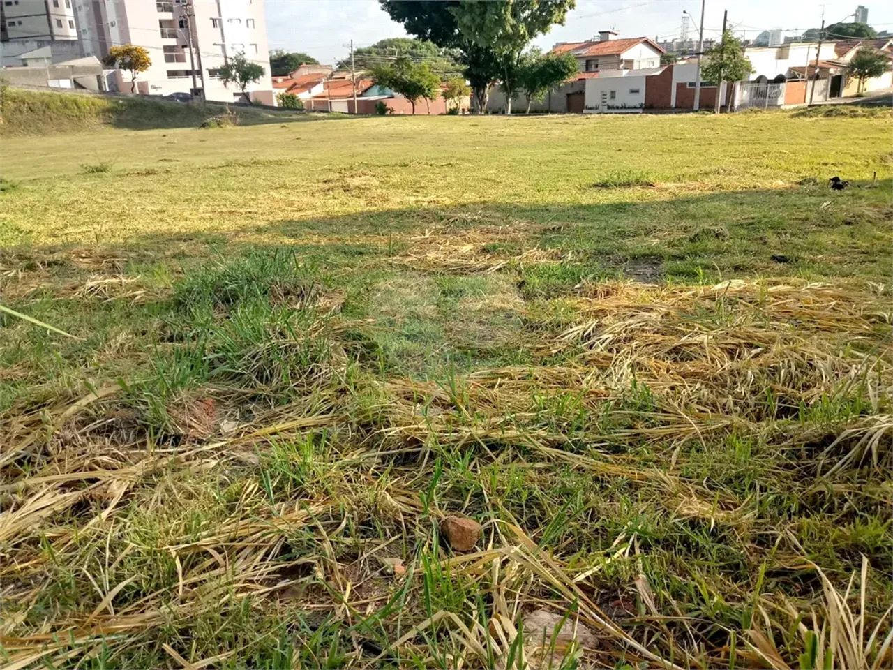 Terreno à venda em Vila gustavo - SP