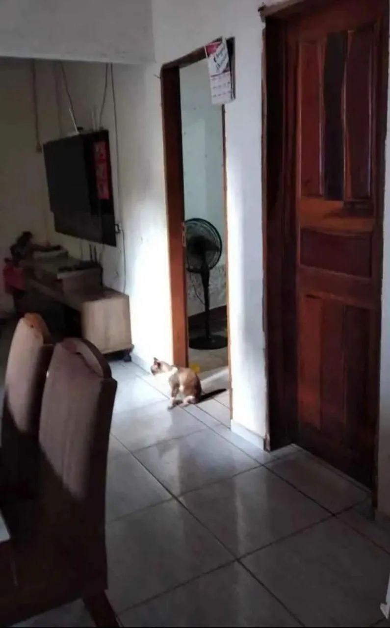 Casa no Porto do Mocajutuba  - Foto 4