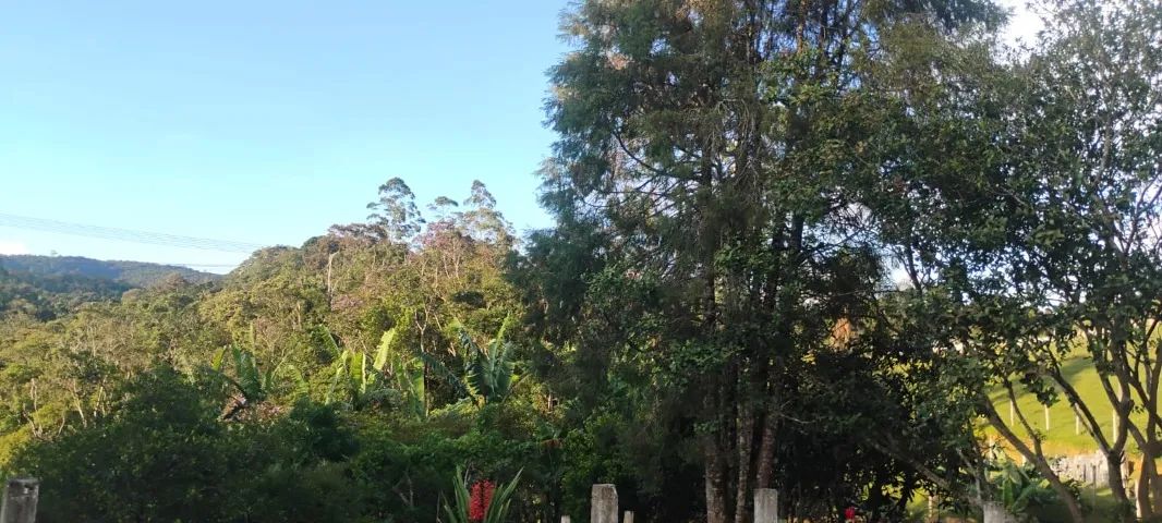 Sítio em Ibiúna - Foto 5