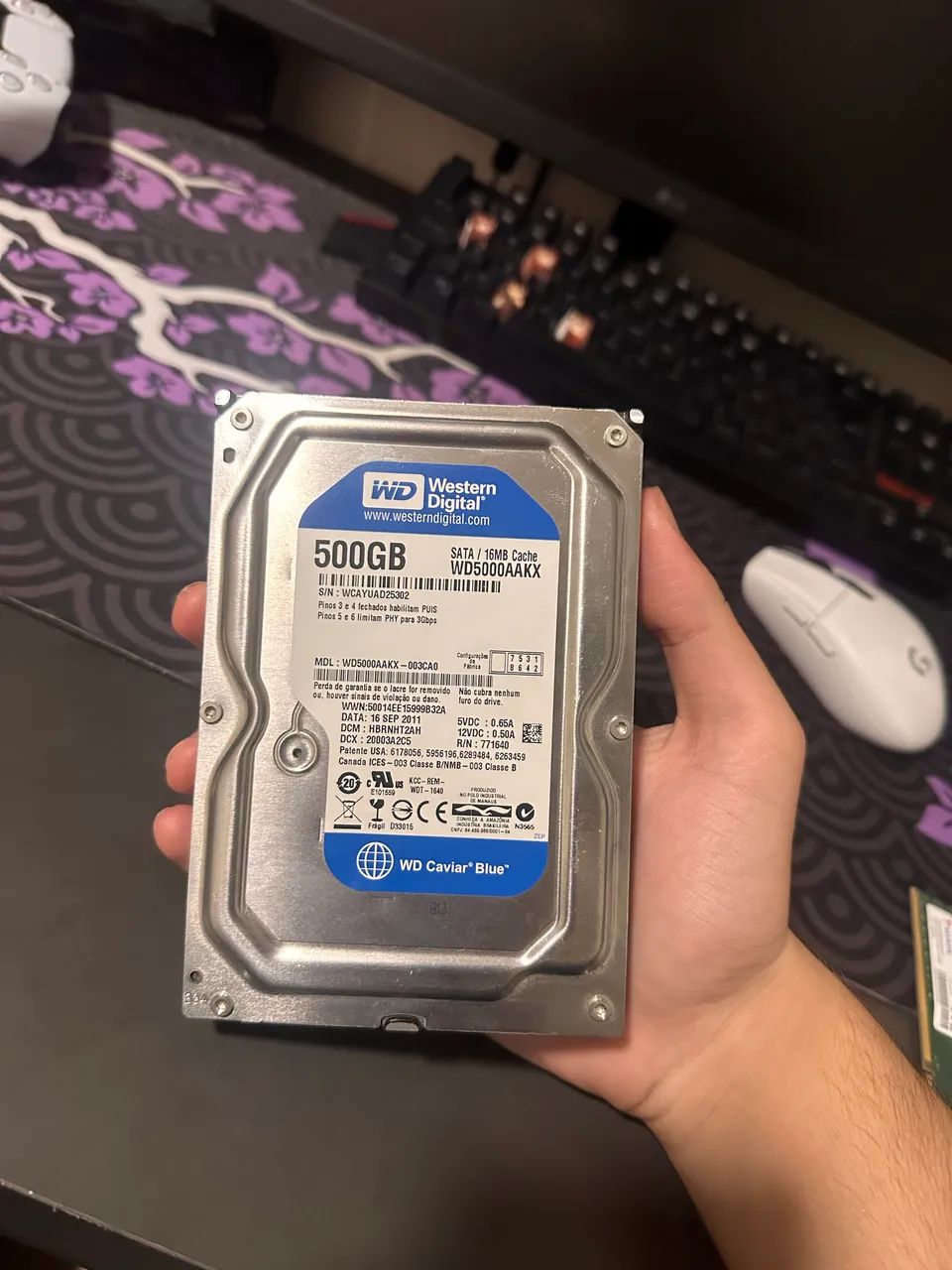 hd 500gb 440254852529530880