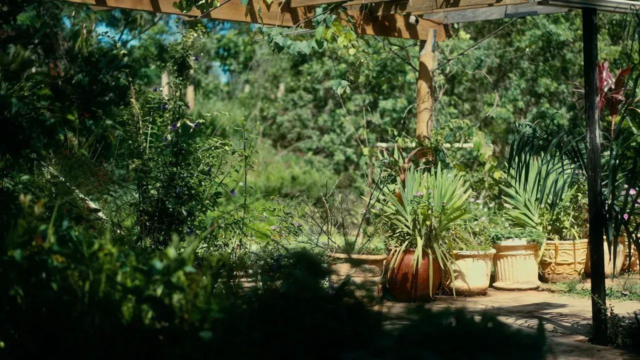 LOTES DE CHACARA A VENDA COM 3.000M² - Foto 3