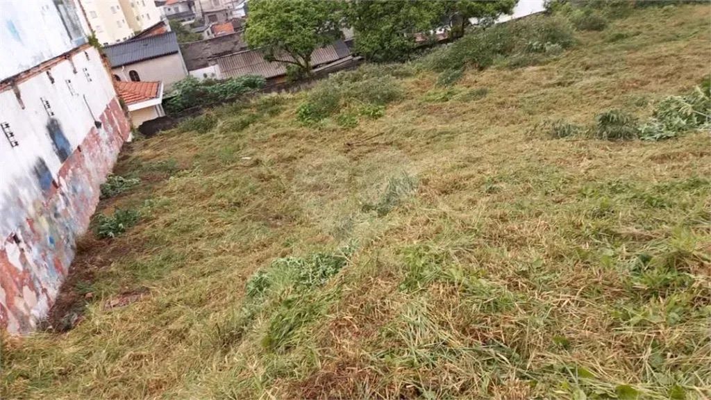 Terreno à venda em Vila gustavo - SP - Foto 3