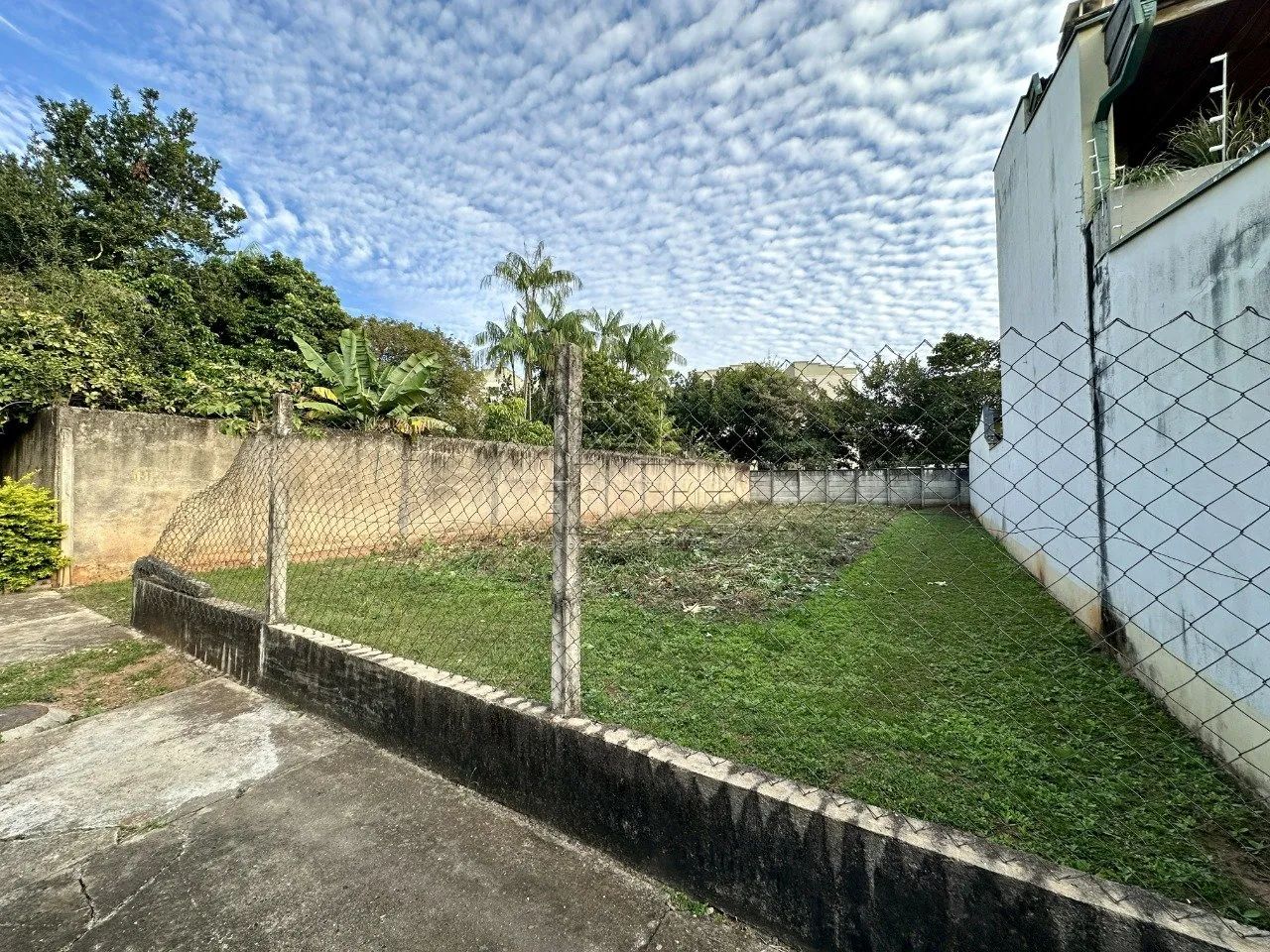 Jardim Vila Verde, terreno com 366m², plano - Foto 5