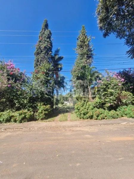 Chácara com 3000m no Santa Rita, com área gourmet - Foto 3