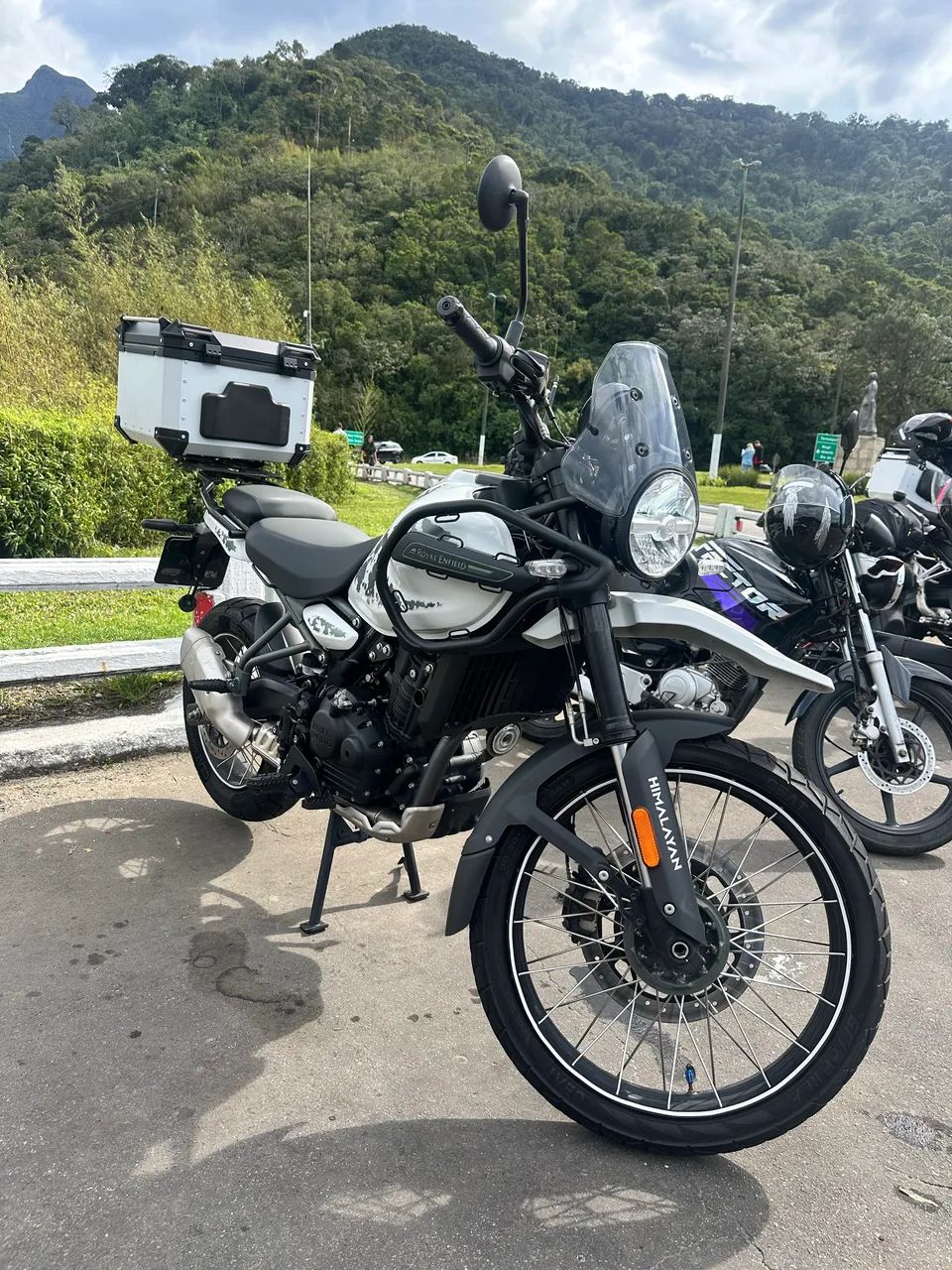 Himalayan kamet 