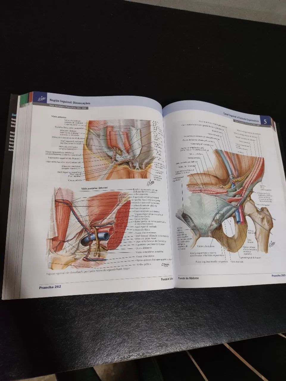 NETTER ANATOMIA 7° EDIÇÃO  - Foto 3