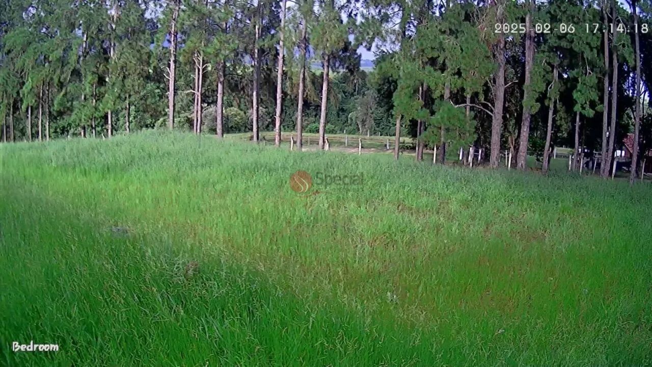 Chácara à venda em Pardinho. - Foto 5