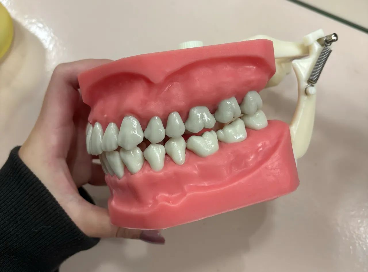     Manequim de Dentística (Pouco Usado) - Foto 2