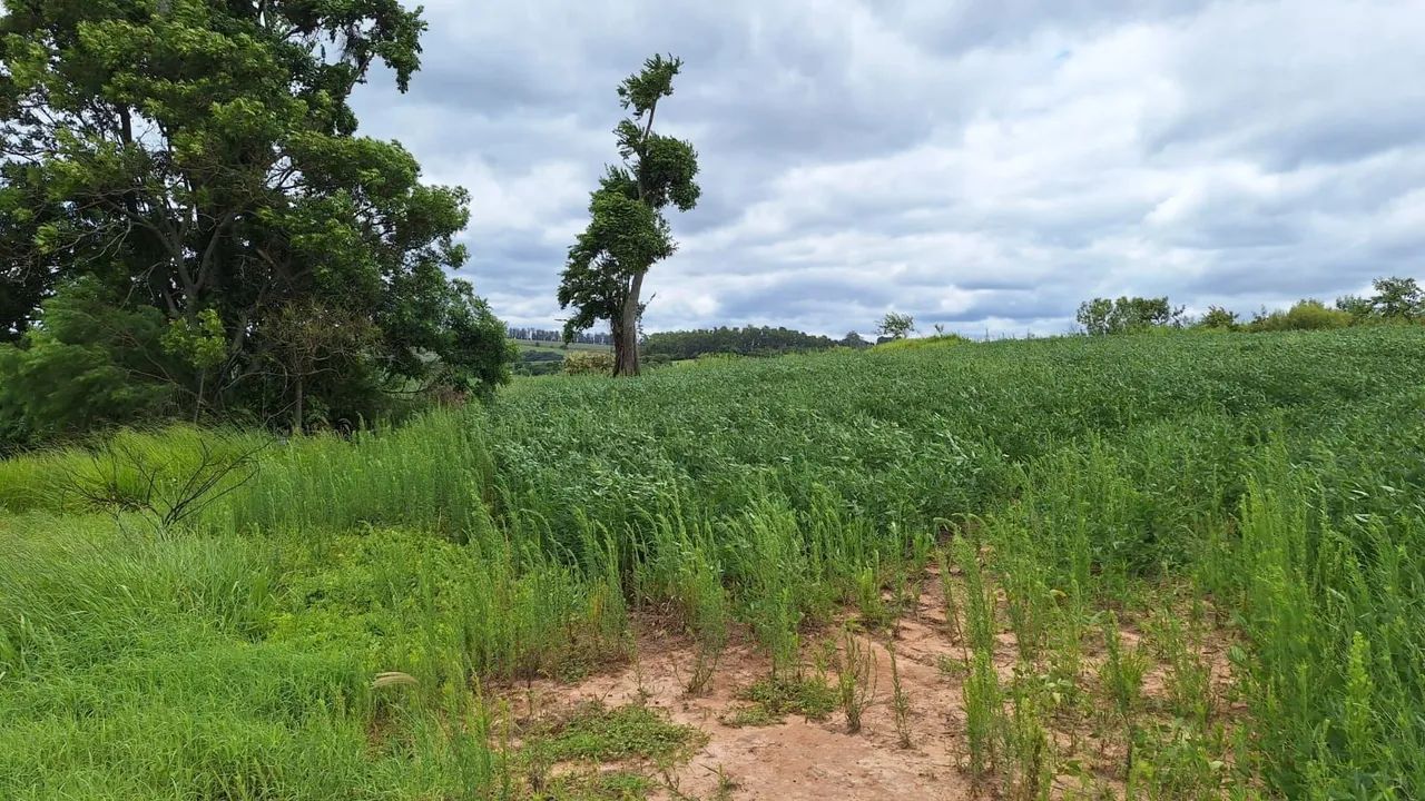 Sítio em Itaberá sp  - Foto 2
