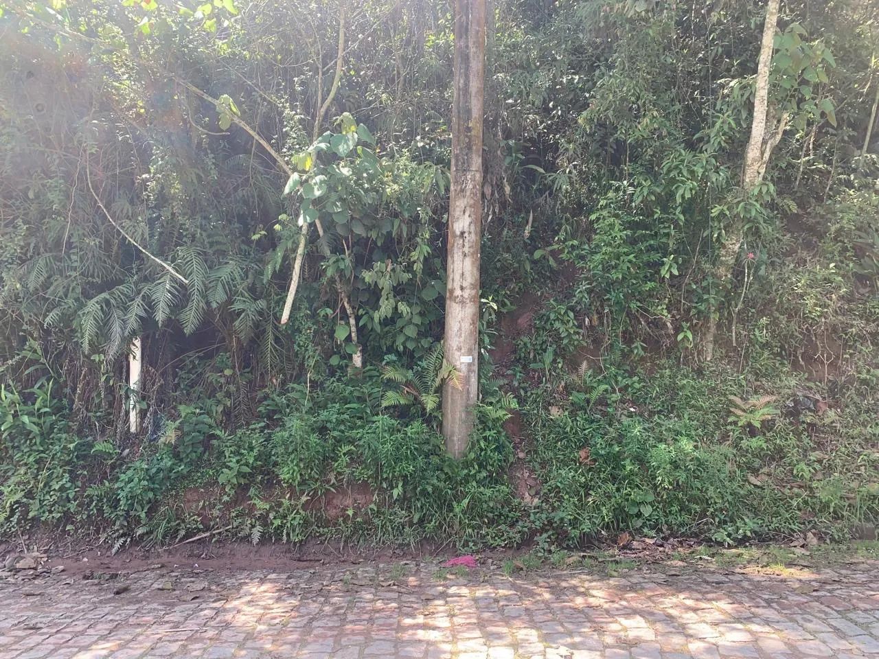 TERRENO EM RIO GRANDE DA SERRA / - Foto 3