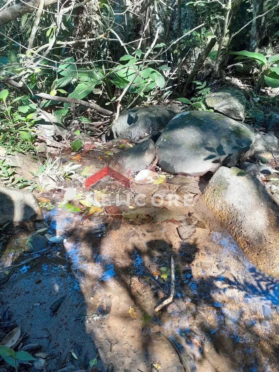 Sítio em Estrada Geral do Macacu - Costa Macacu - Garopaba/SC - Foto 5