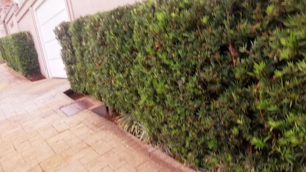 Verteflor  - Foto 3