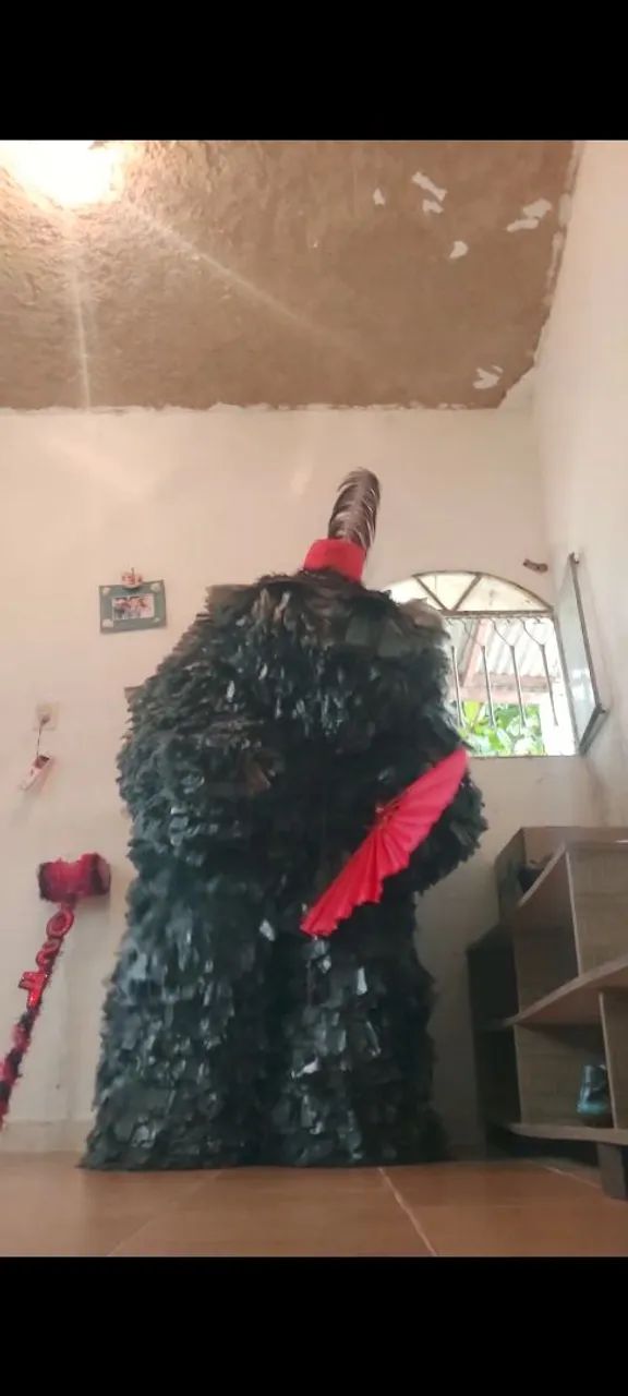 Fantasia de carnaval