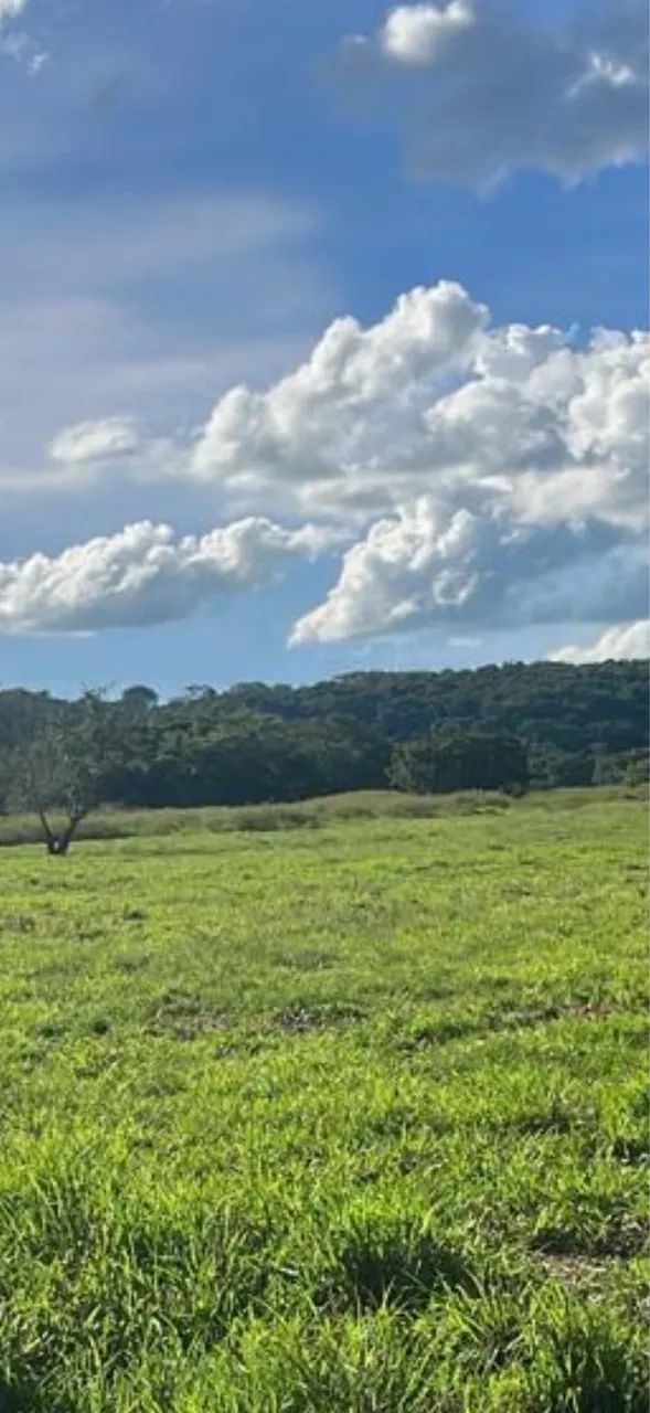 Fazenda dupla aptidão município do Prata  - Foto 4