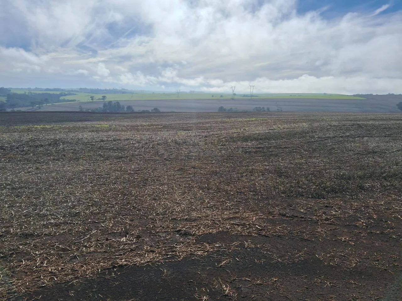 Fazenda  - Foto 3