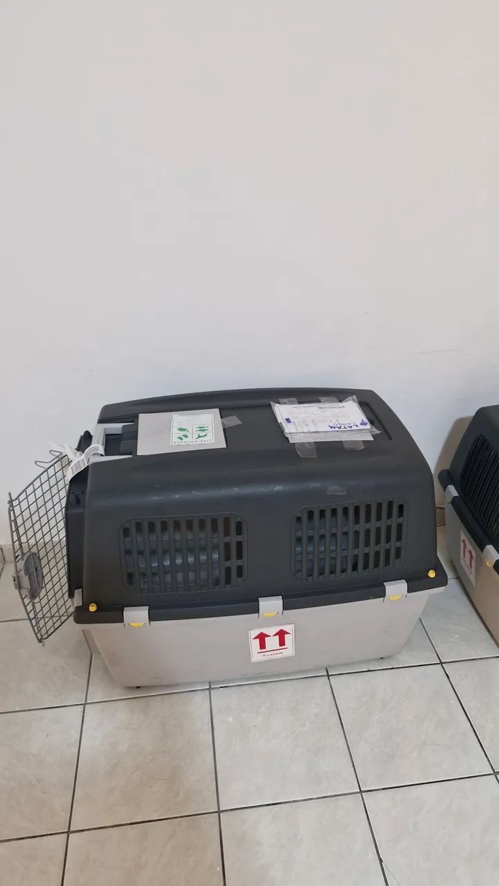 Caixa de viagem Pet N° 5 - Foto 2