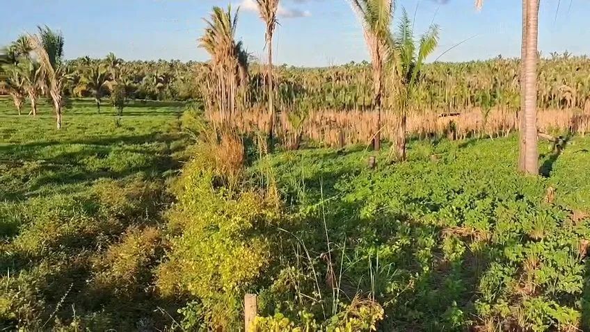 Terreno  - Foto 5